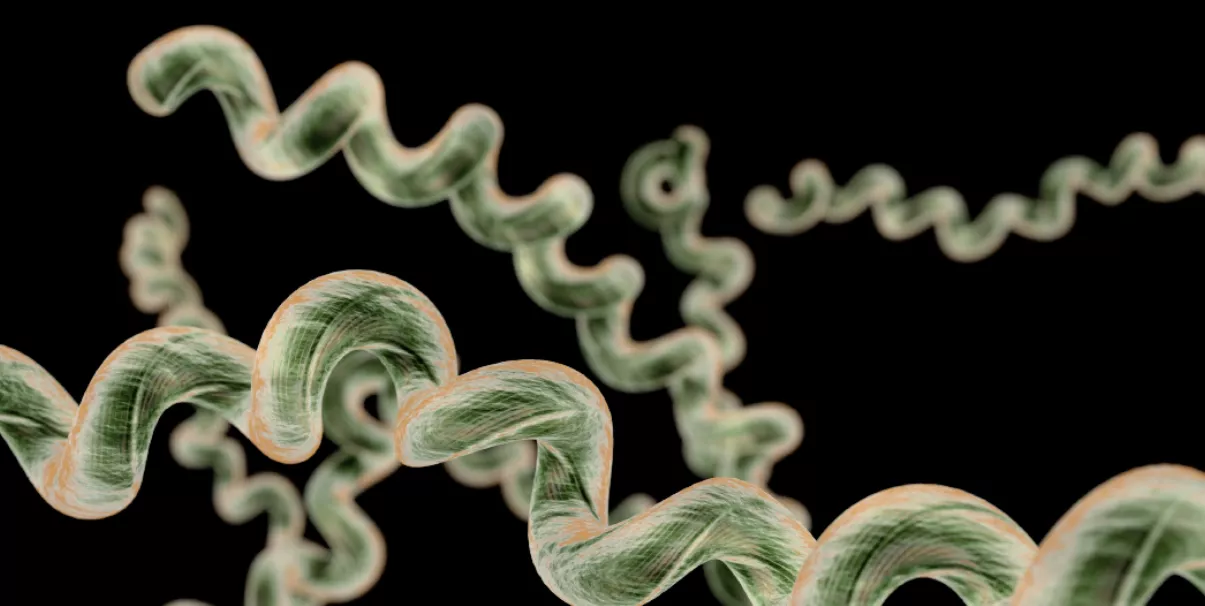 Syphilis in Singapore: Prevention, Diagnosis, Treatment, and Long-Term Care