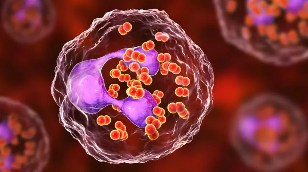 Ureaplasma Urealyticum Testing & Treatment Singapore